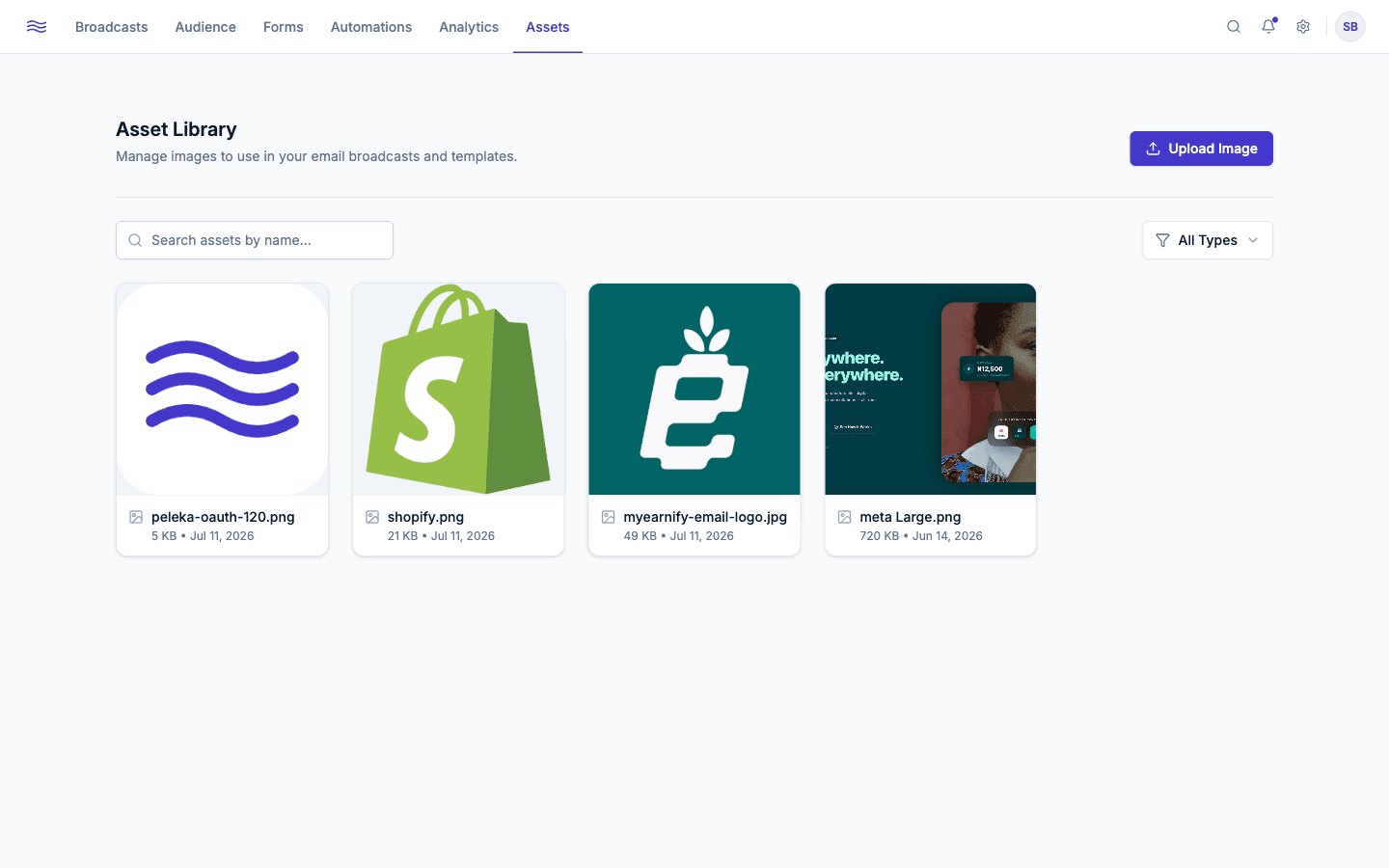 Asset Library — grid view with search and type filter