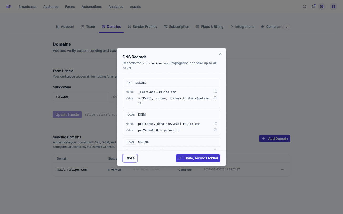 Domain detail — DNS records with verified/pending indicators